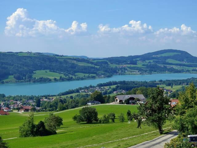 Wunderschoene Ferienwohnung Mit Seeblick Zell am Moos Exterior photo